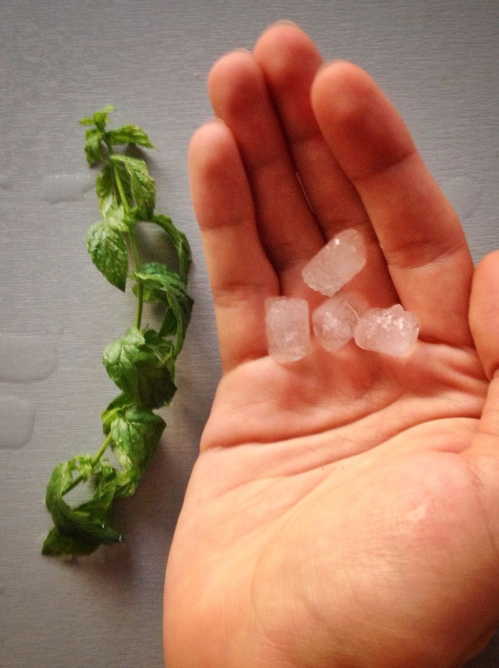 Add the ice and the spearmint.