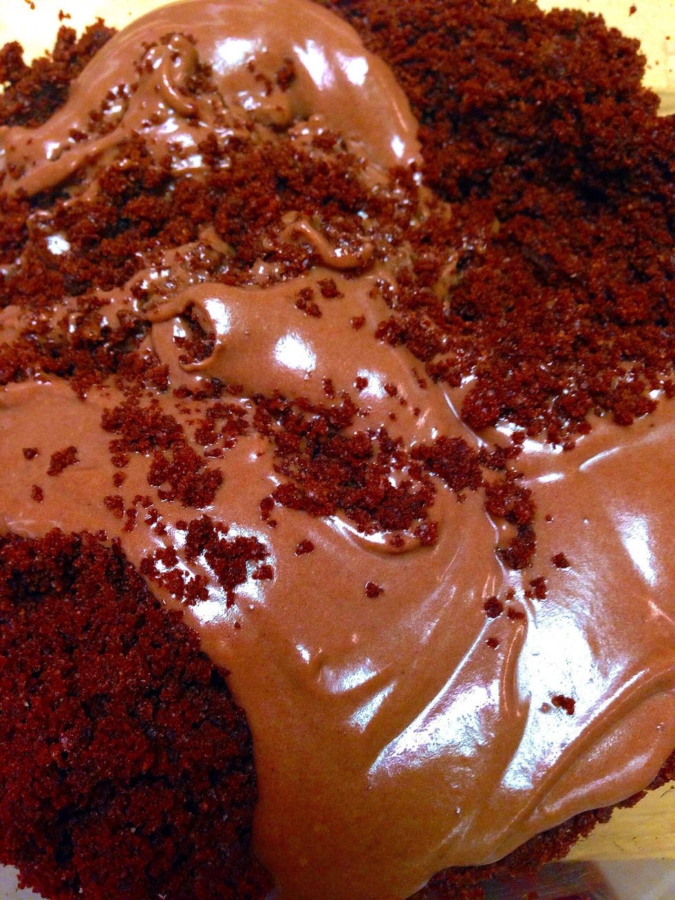 Add the icing/spread gradually to the cake crumbs till it's soft but manageable