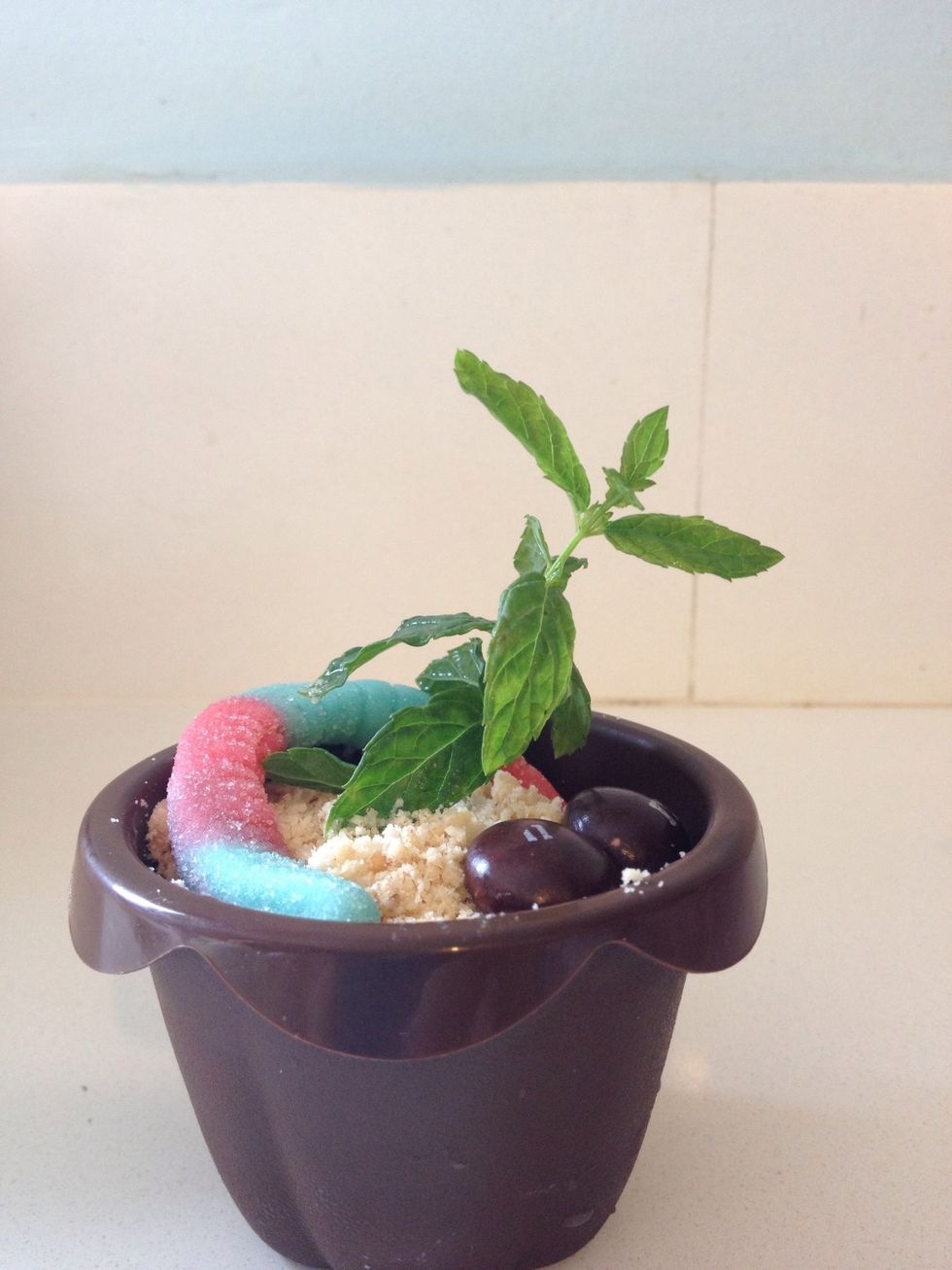 Add the mint, worm and m&m's