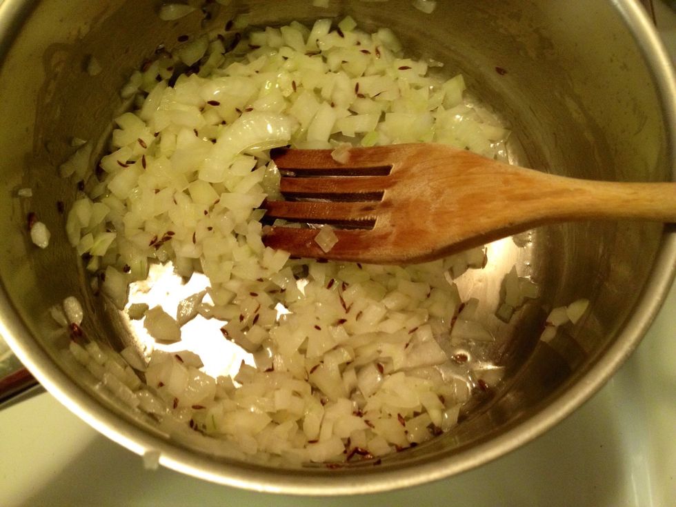 Add the onion to the pan with the cumin seeds.