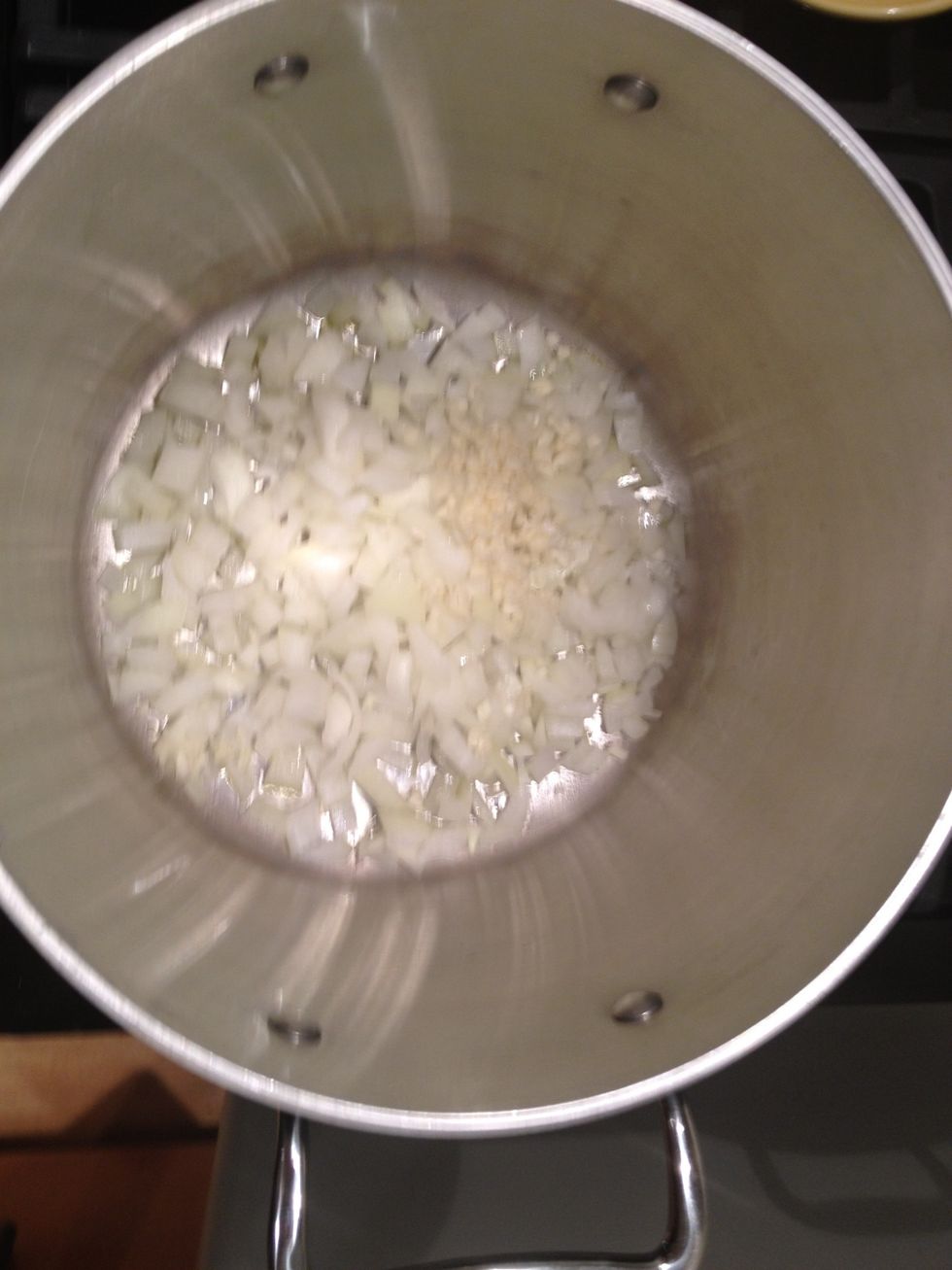 Add the onions, and cook until they are translucent