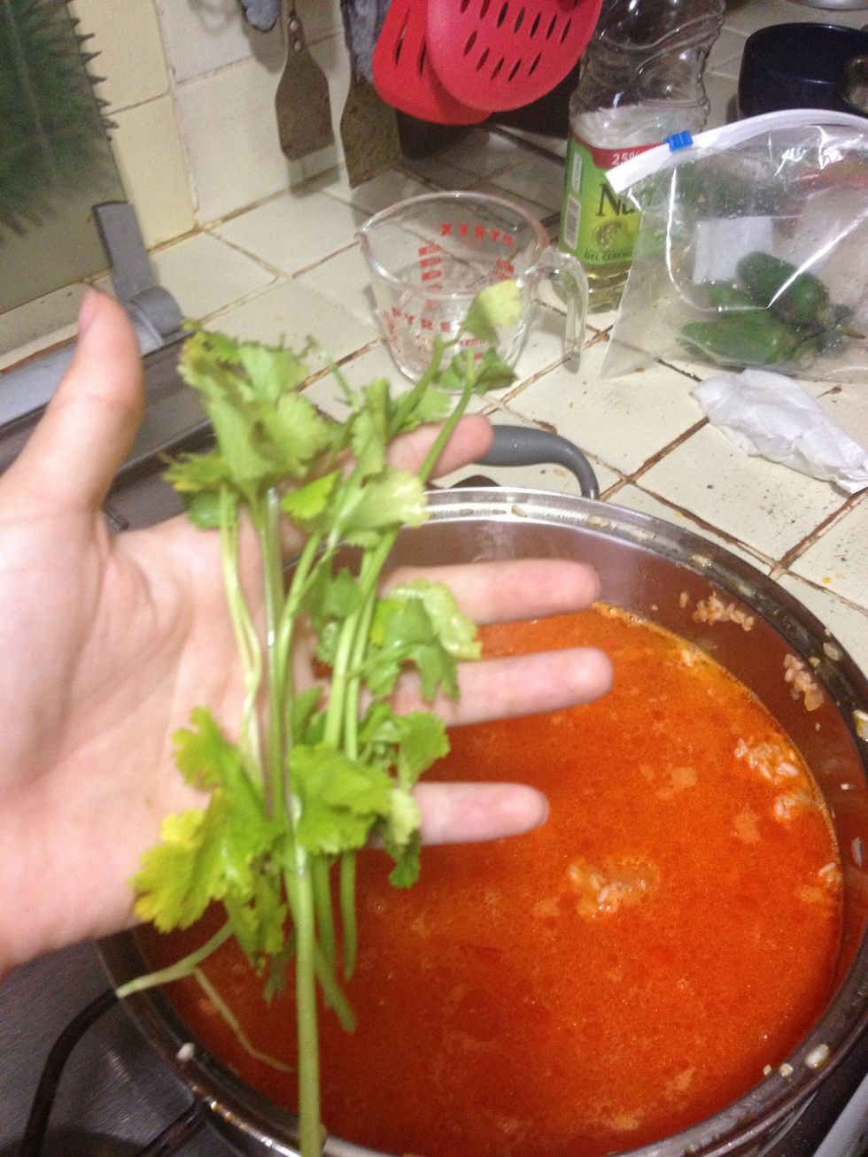 Add the parsley, you don't have to chop it up.