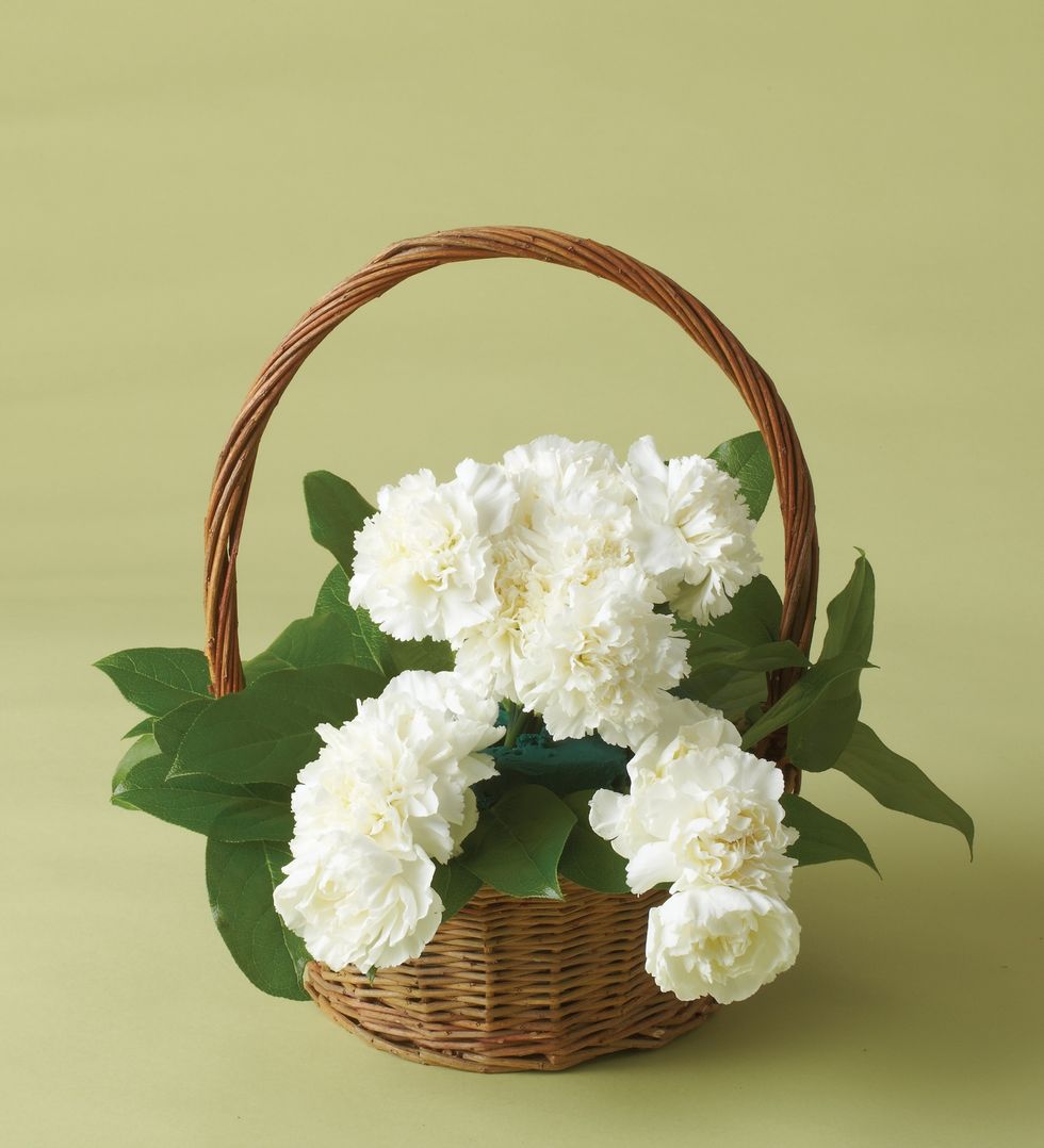 Add the puppy paws into the floral foam and surround the flowers