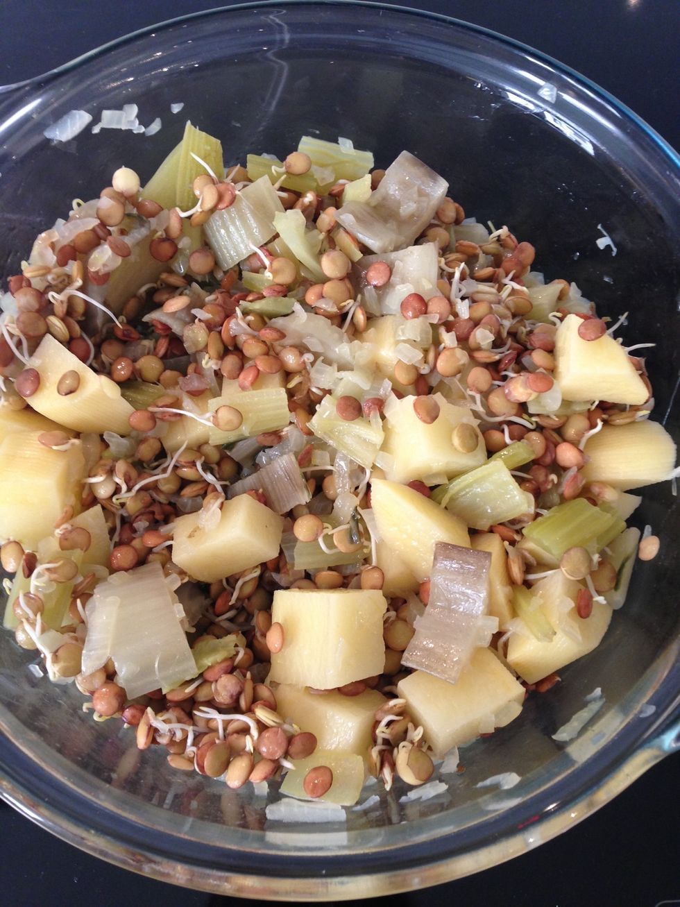 Add the sprouted lentils. add 1/ cup of water Cover and let them cook on low 1 hr. check from time to time for the water. If lacking add boiling water