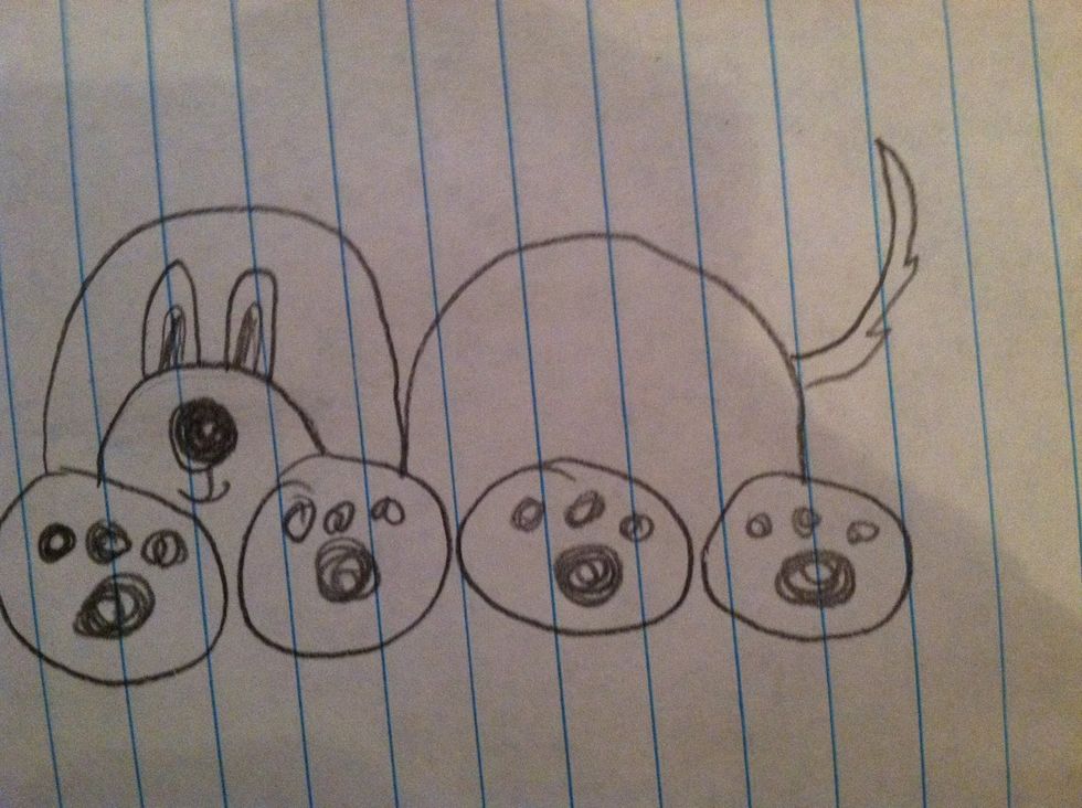 Add the tail you desire