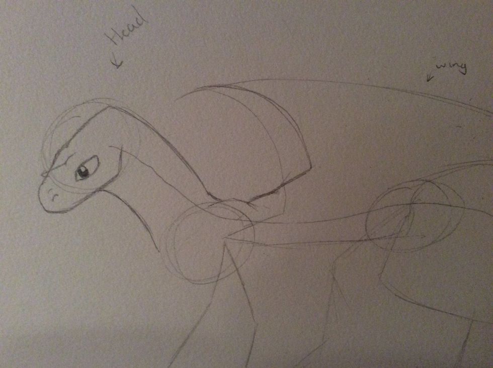 Add the top of the shoulder and part of the wing