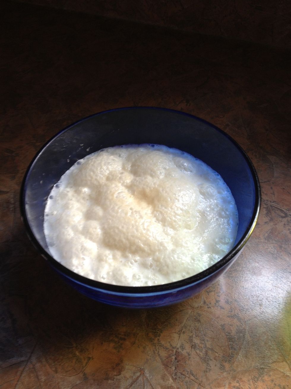 Add the yeast to a warm milk.Let it sit for 15 minutes or until frothy.