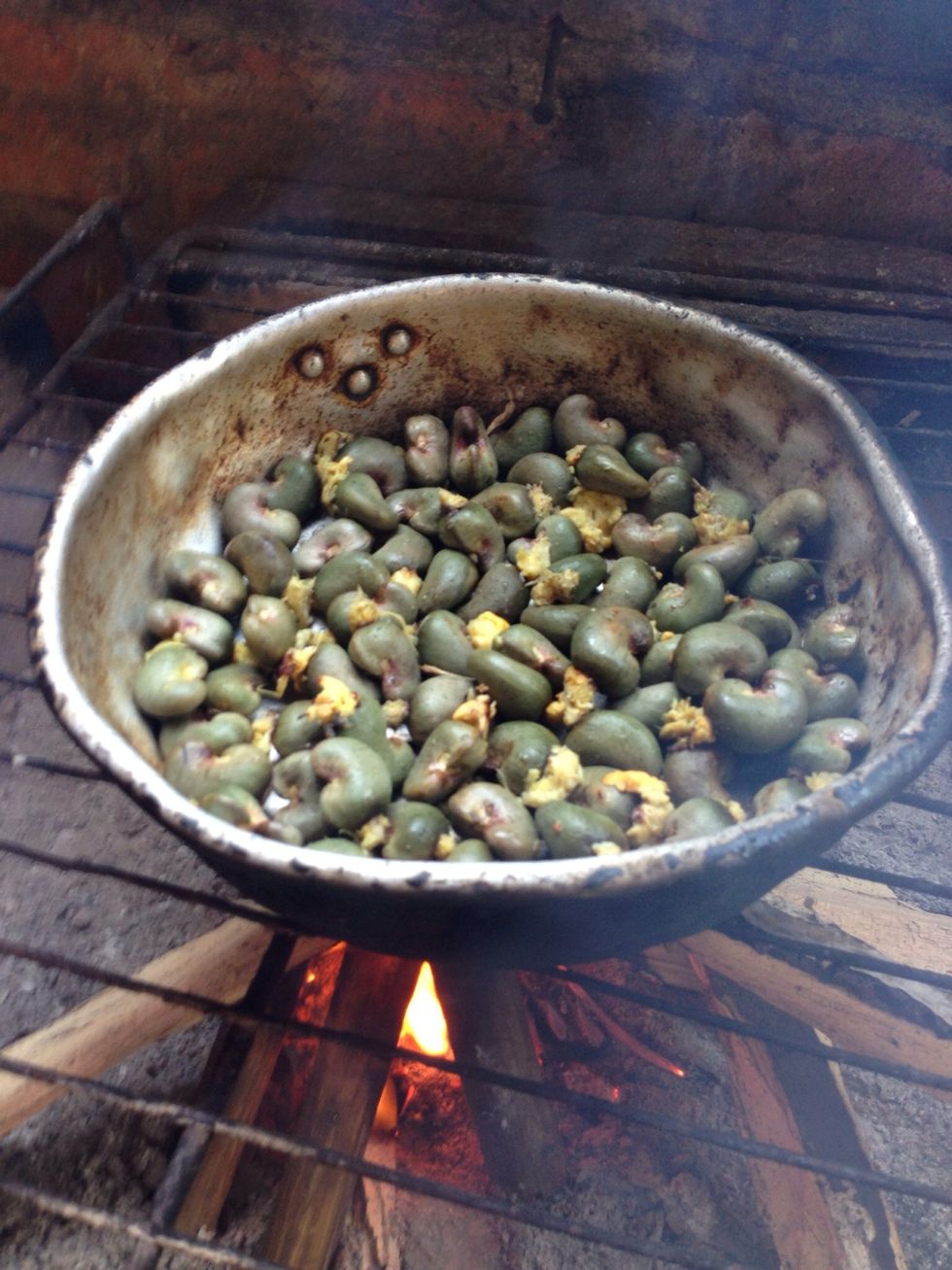 Add them to an Aluminum pot and start your fire. The Cashew inside will release from the shell with the heat. Stir cashews often with a long spoon or branch