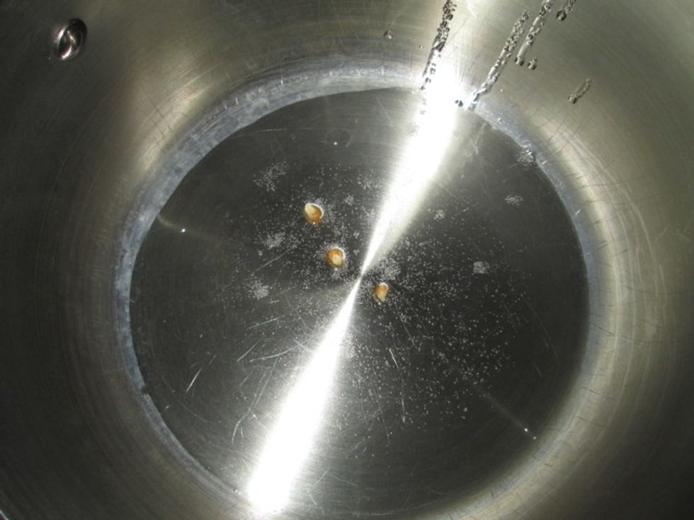 Add three kernels to the oil. When the kernels pop that means the oil is ready.