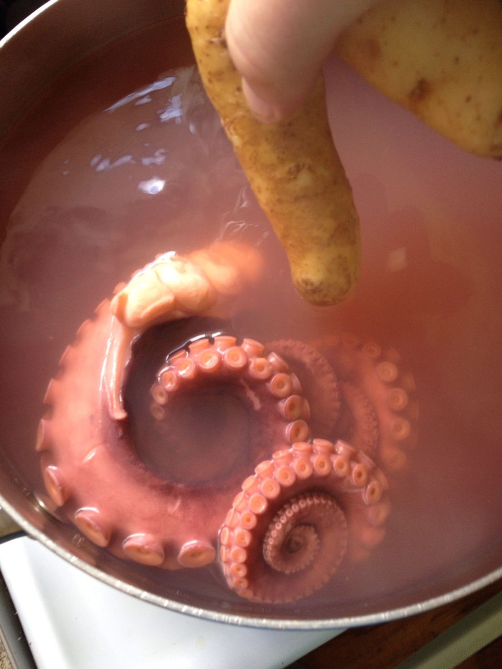 Add to octopus after 25 minutes
