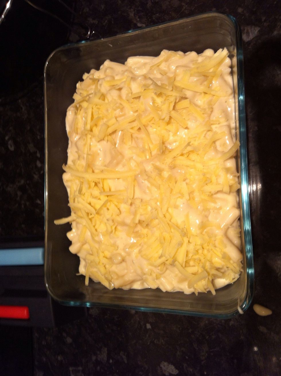 Add to your dish and sprinkle the remaining cheese on top. Place in the oven on a med-high heat and cook for about 10-15mins to get the top nice and brown
