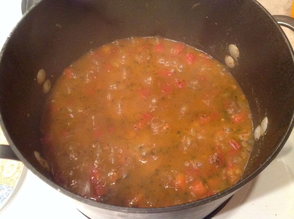 Add tomatoes with chilies, chili beans and sauce, water, and both packets of Doxy's. Stir well and cover. Simmer over medium heat for 30 minutes, or turn the heat way down and simmer all day.