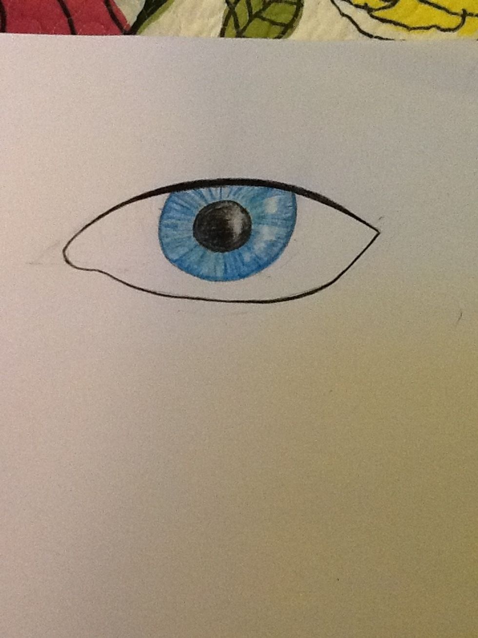 Add top and bottom lash lines