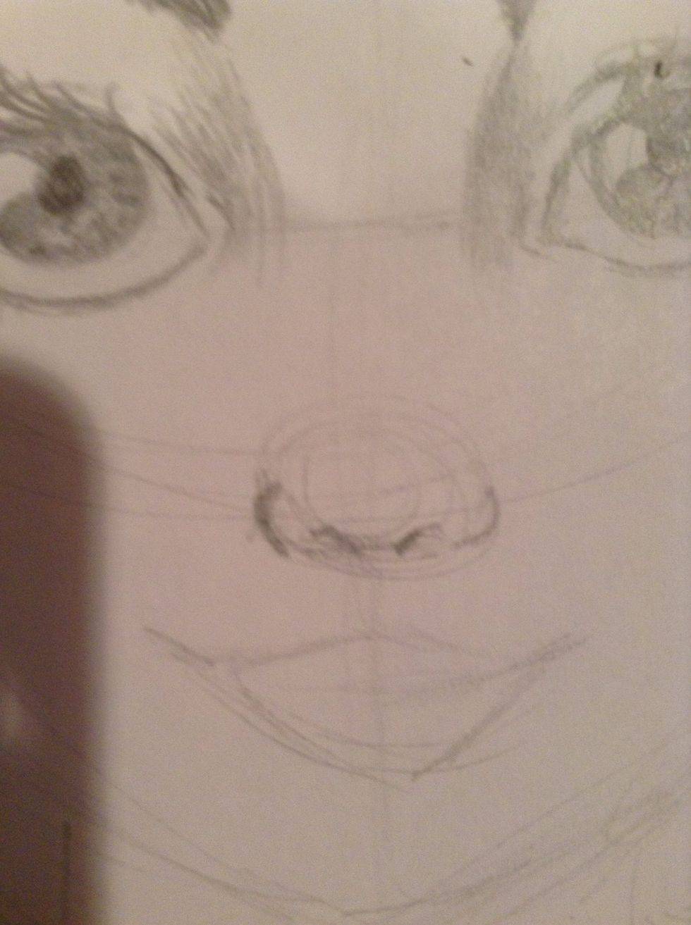 Add two "c" shapes to the nose.