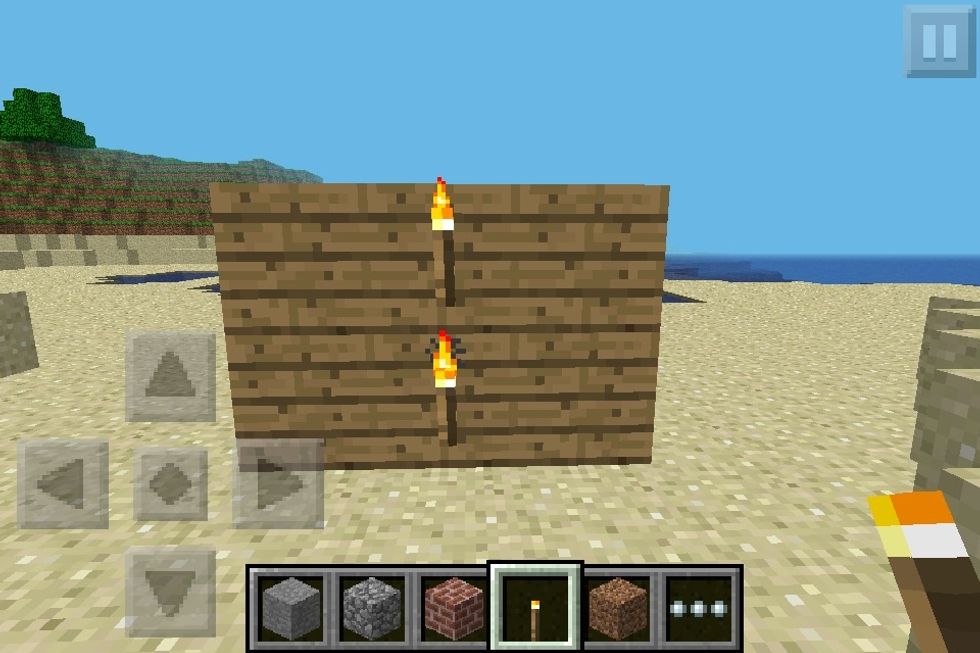 Add two torches in the two middle blocks.