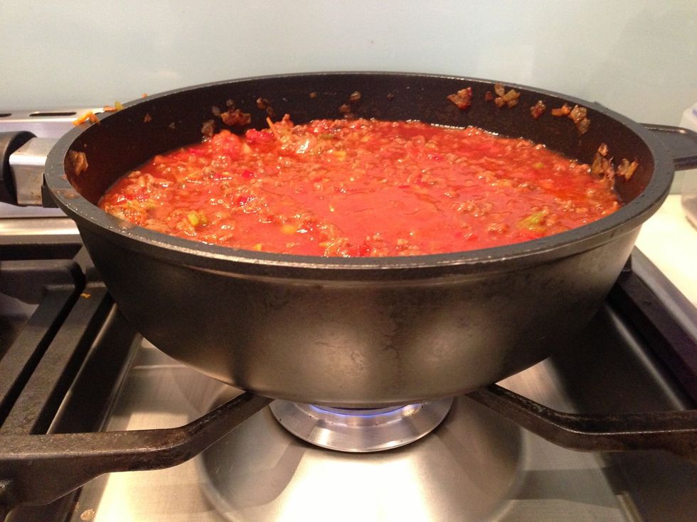 Add vegetables and enough tomato Passata to cover