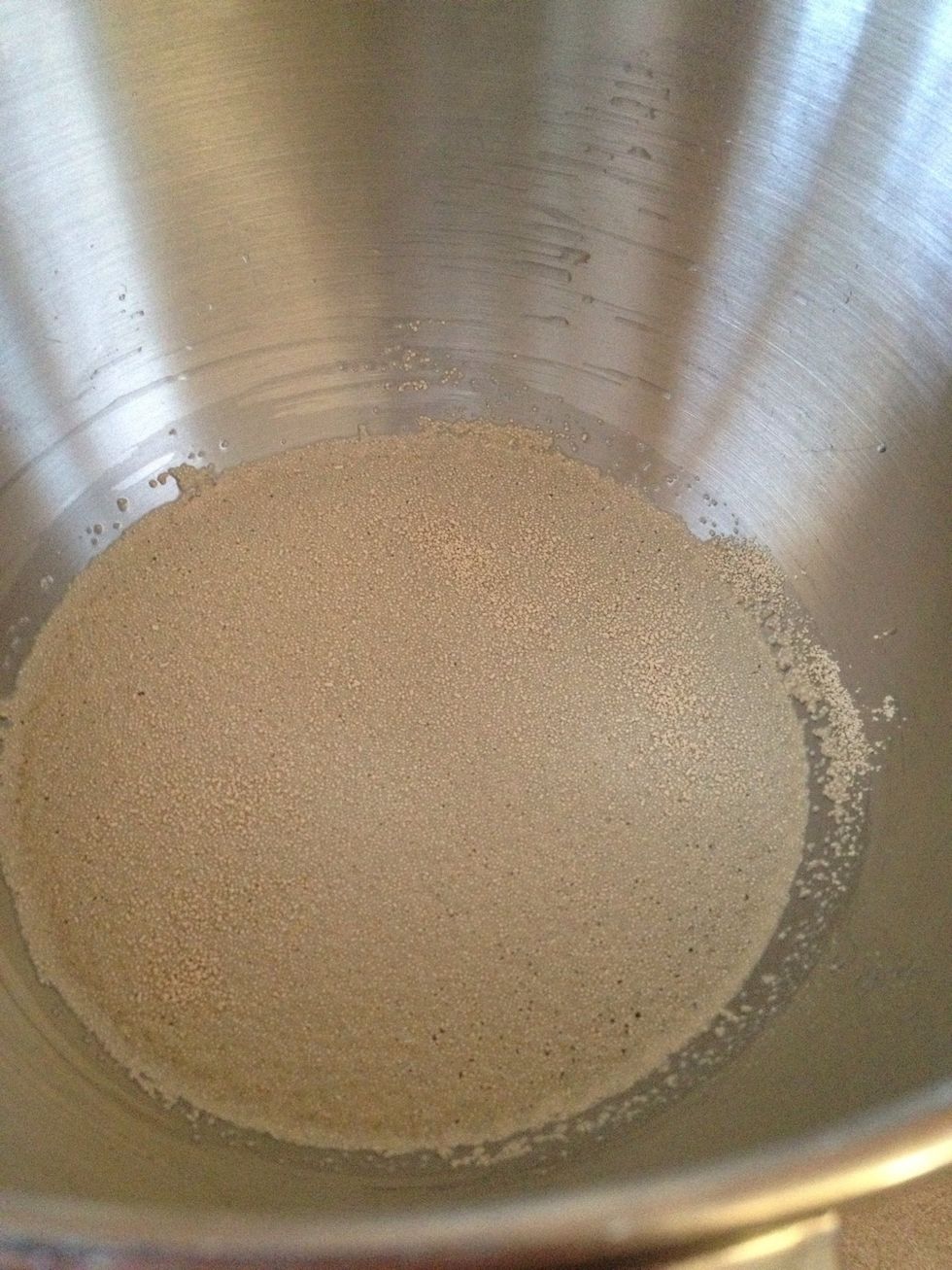 Add warm water and yeast to mixing bowl