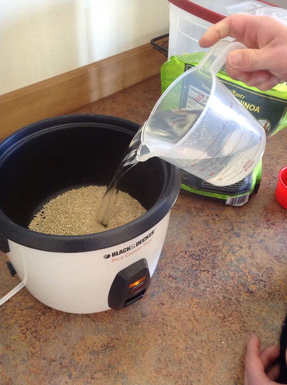 Add water to rice cooker
