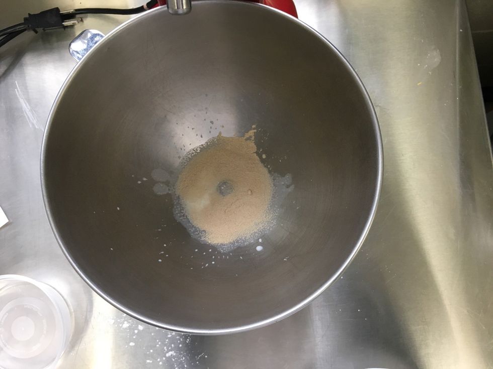 Add yeast to warm whole milk.