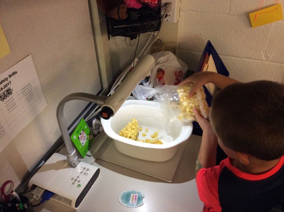 Add your apples to the crockpot.