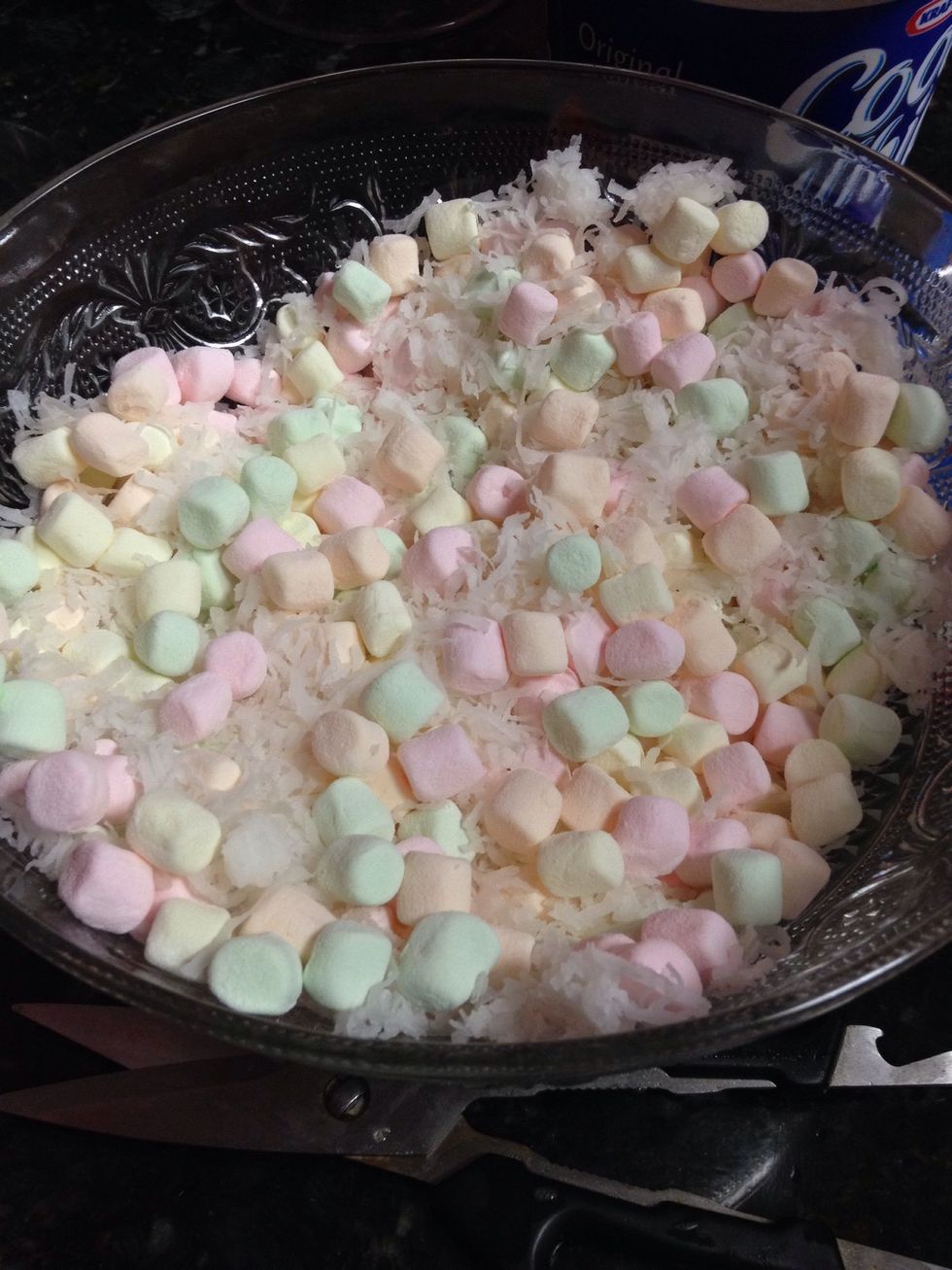Add your coconut flakes, maybe like half the bag, just depends on your taste.