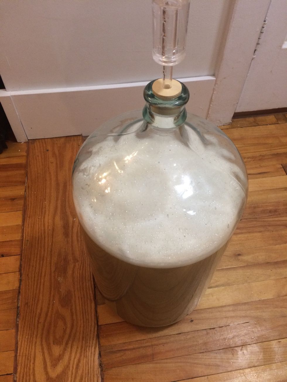Add your fermentation airlock and let your beer ferment for 2 weeks in a cold dark room.