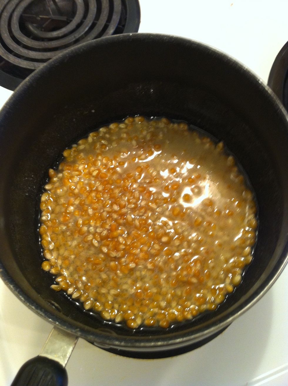 Add your kernels. Oil should just cover them. Ensure stove is on heat setting 6.