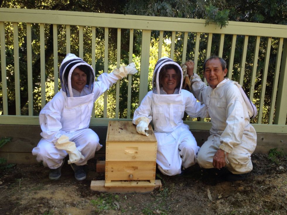 Add your new bee box to the top of the one carrying the queen and her hive. These first two boxes are for the bees. Add boxes as they build out the comb. You can harvest anything north of the bottom 2