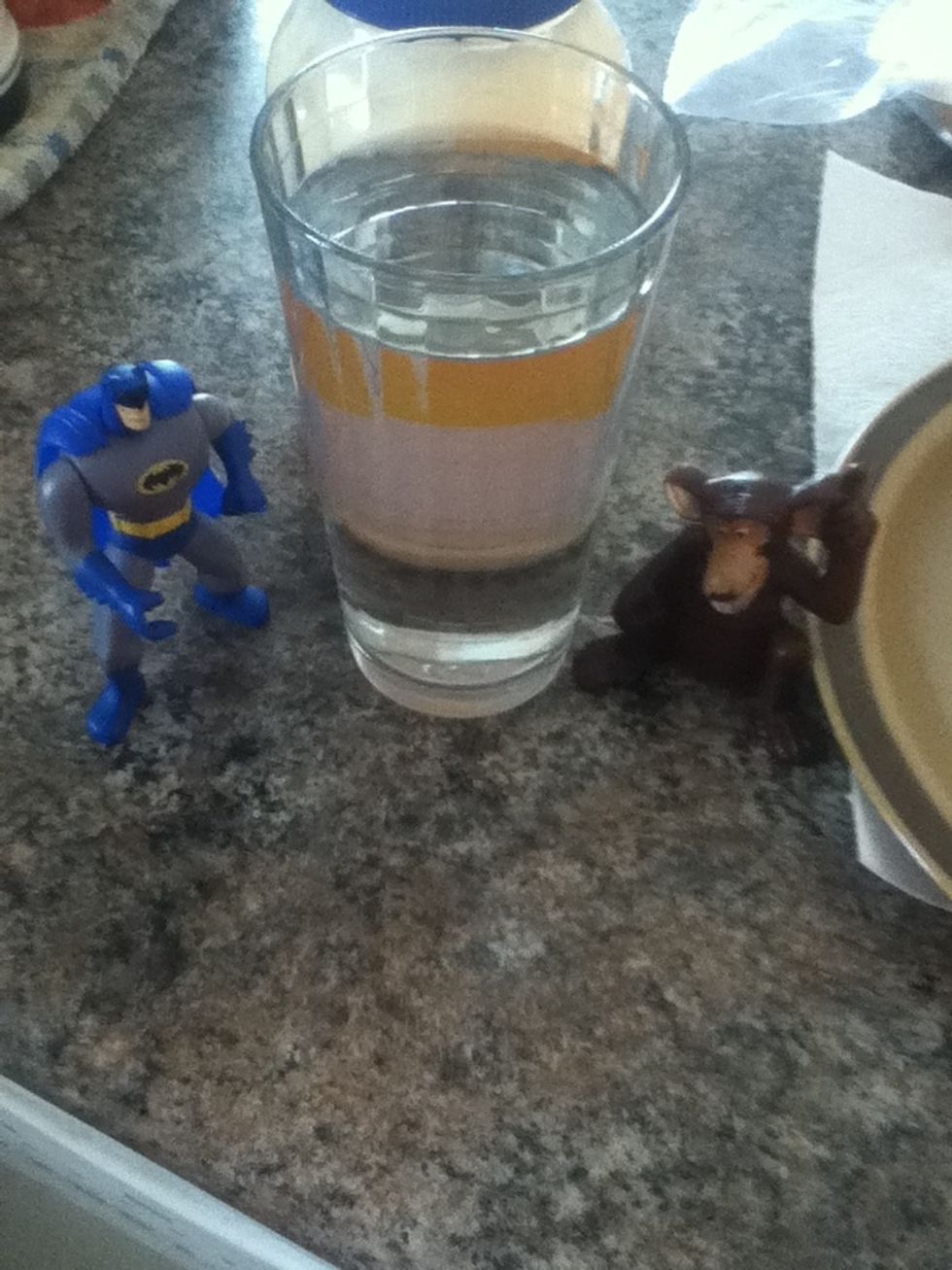 Add your preferred amount of water. (You don't need the monkey or batman).