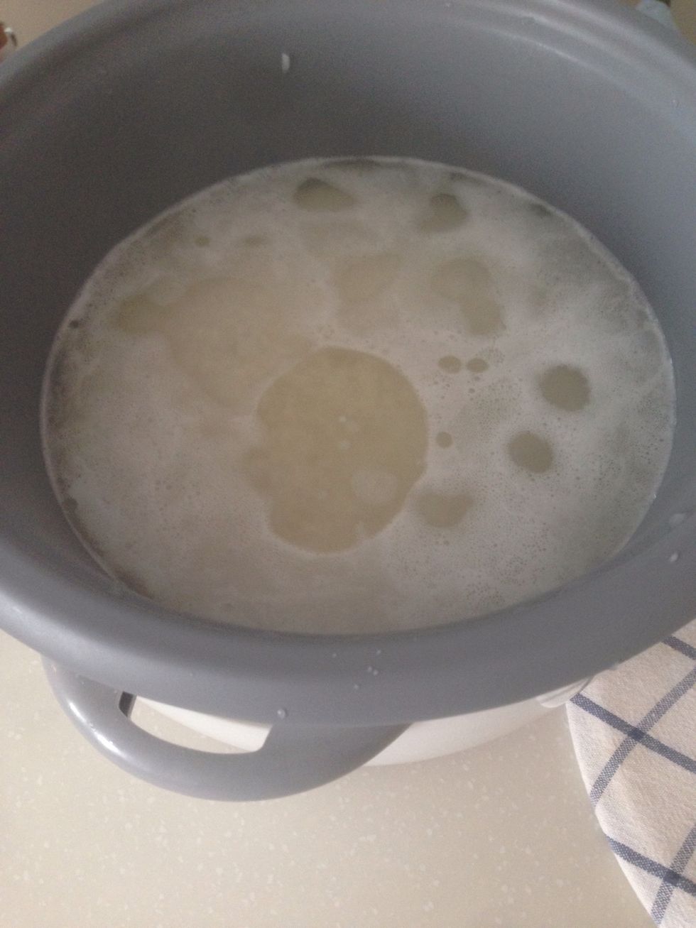 Add your salt and oil to the water in the rice cooker, then bring the rice to boil