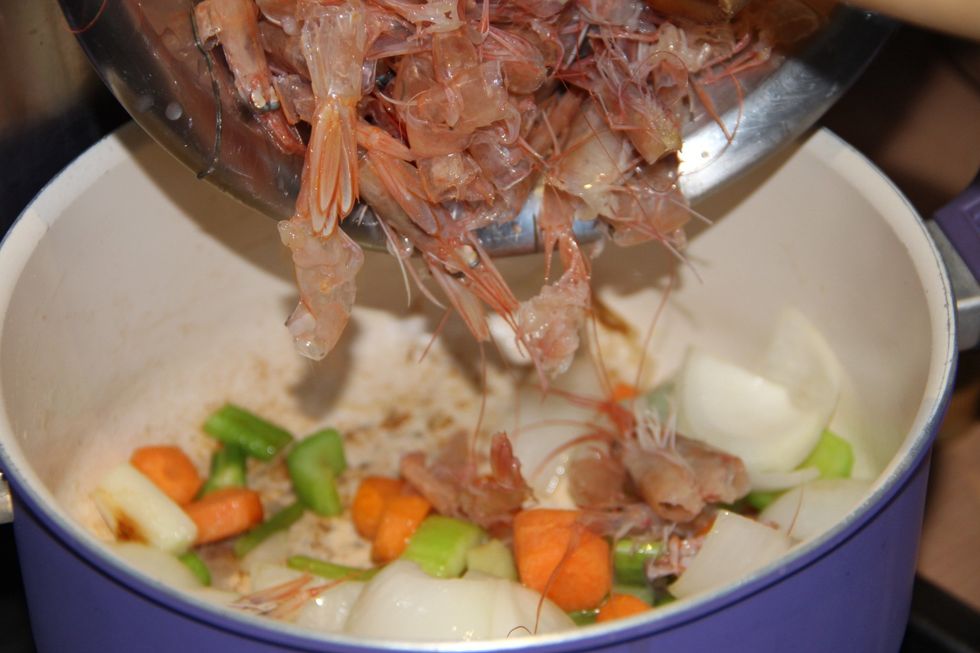 Add your shells to the cooking pot and saut\u00e9 for 5 minutes