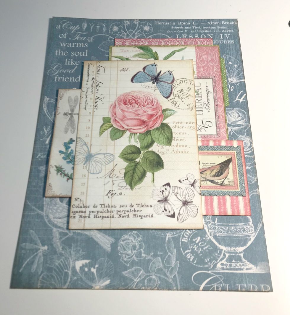 Adhere 3" border partly under herbal card. Adhere card 0.5" from left & 3.50" from top. Adhere sticker stamp to striped paper. Foam square rose/butterfly card 2" from top & 1.75" from right of paper.