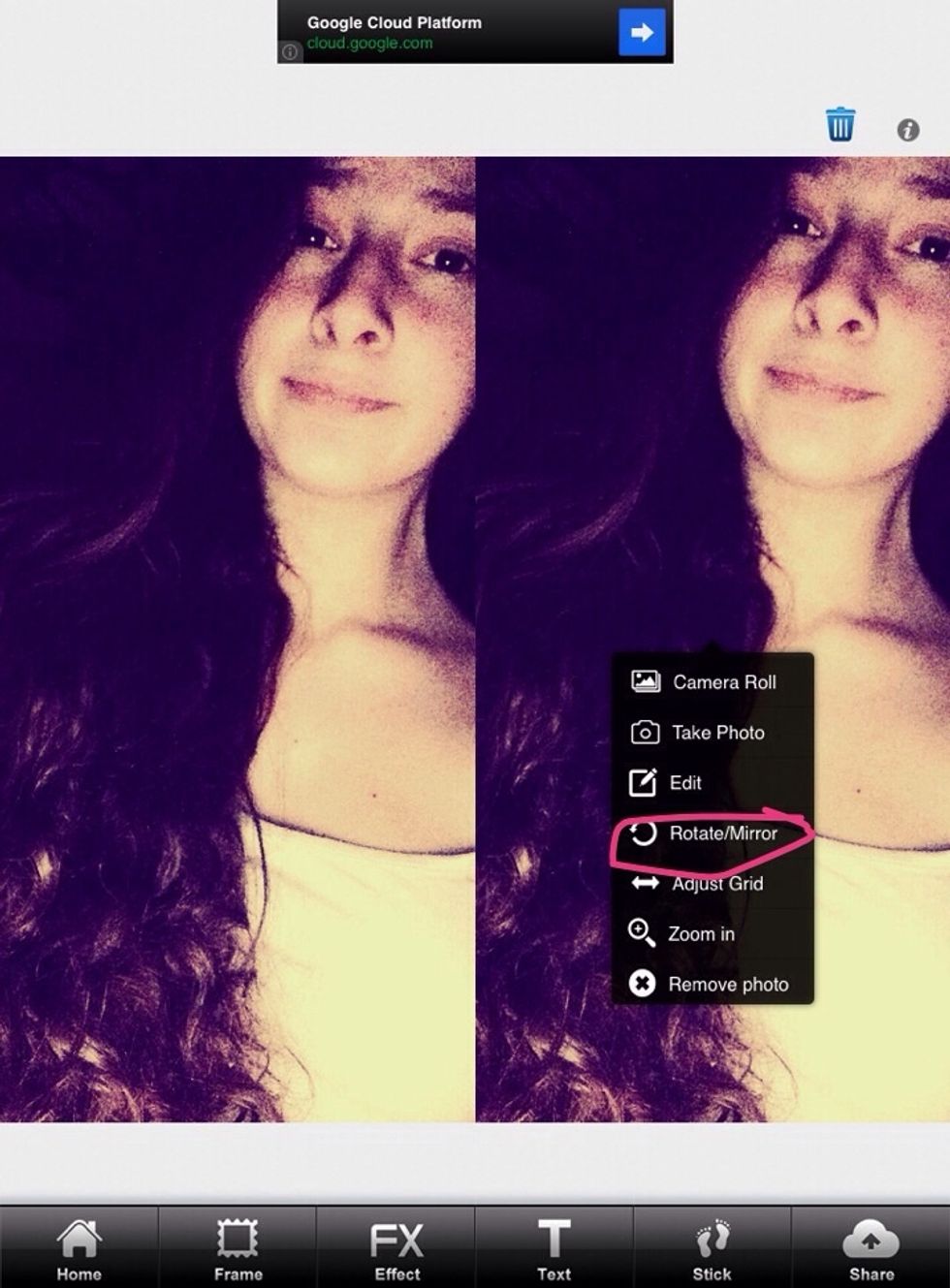 Adjust pictures how you want and click "Rotate/Mirror"
