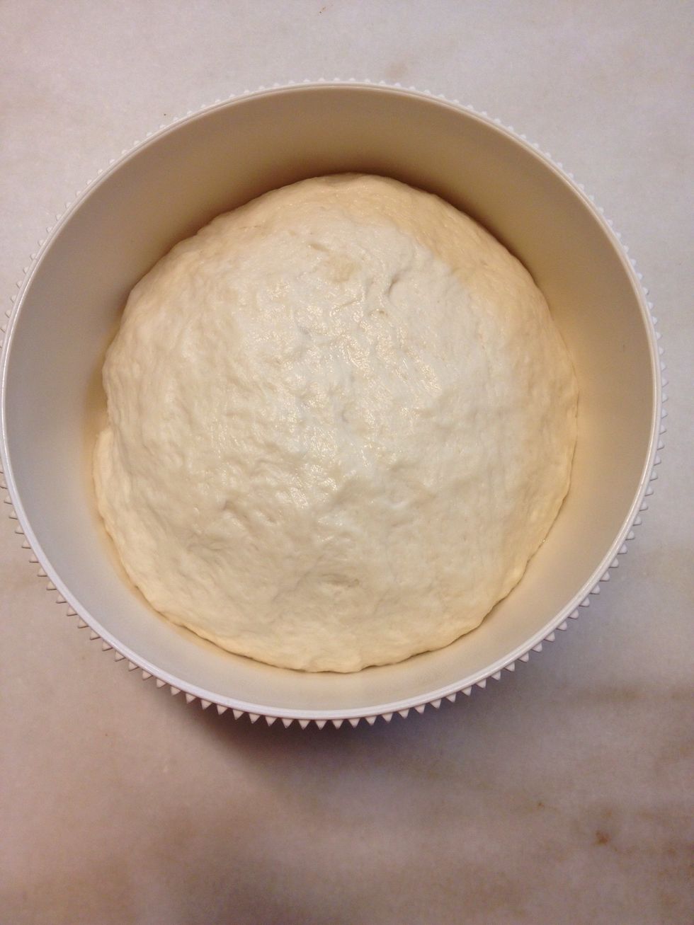 After 1 hour, your dough should look like this.