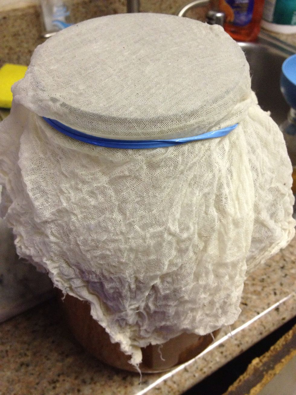 After 10 days I decided to bottle. .I used a fine cheese cloth with a rubber band to strain and pour the tea into smaller containers.