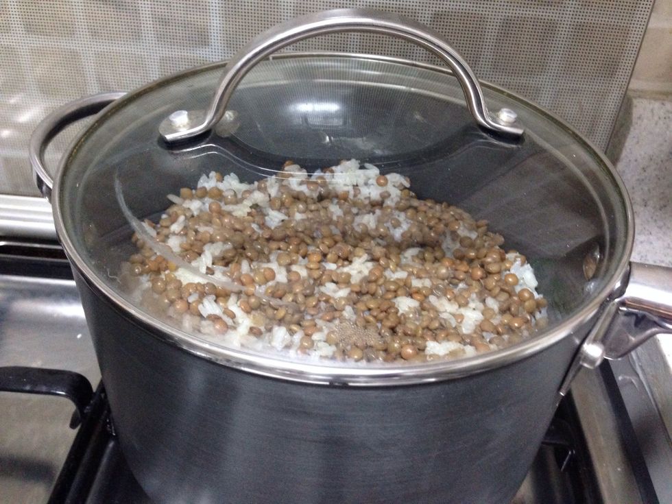 After 15 min move the rice and lentil .---------- \u0628\u0639\u062f \u0661\u0665 \u062f\u0642\u064a\u0642\u0629 \u0646\u062d\u0631\u0643 \u0627\u0644\u062e\u0644\u064a\u0637 \u0628\u0647\u062f\u0648\u0621 \u062d\u062a\u064a \u064a\u0645\u062a\u0632\u062c \u0645\u0639 \u0628\u0639\u0636\u0647 \u0645\u062b\u0644 \u0627\u0644\u0635\u0648\u0631\u0629