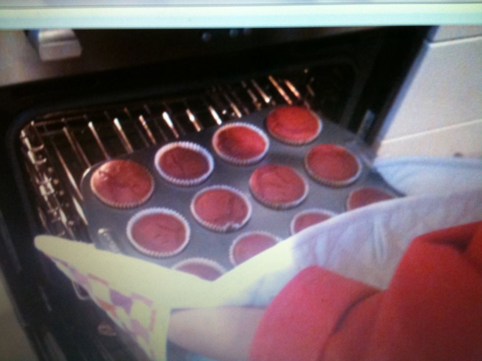 After 20mins take the cupcakes out of the oven and let them cool down on cooling rac