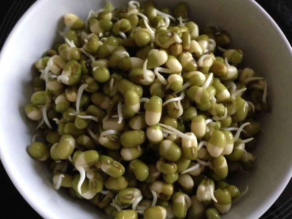 After 6~12 hours, repeat the previous operation: soak them in lukewarm water for 5 minutes, then remove water and let the soybeans grow in the carton again for 6~12 hours.