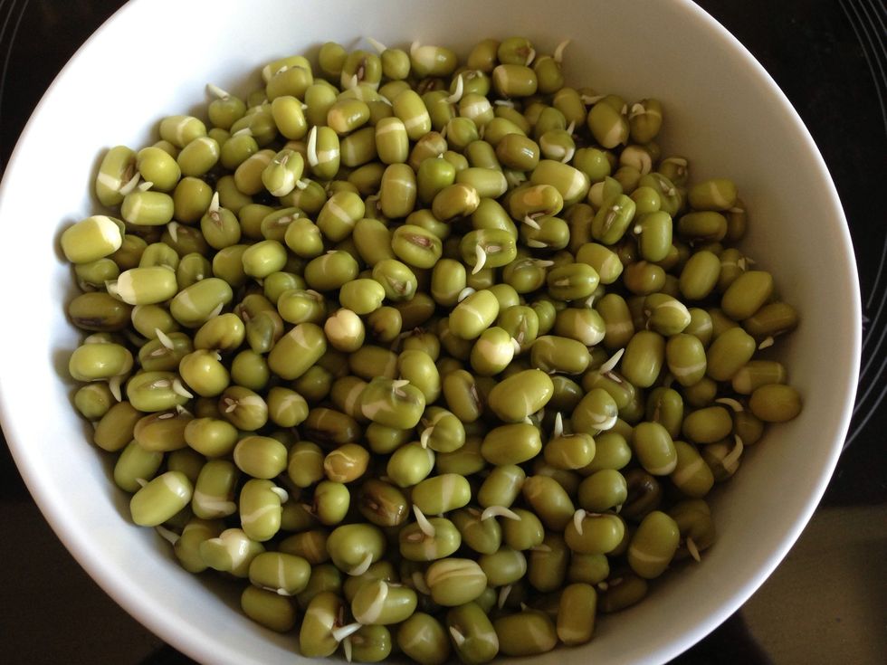 After 6~12 hours, some of them already grew. Soak them in lukewarm water for 5 minutes, then remove water and let the soybeans grow in the carton again for 6~12 hours.