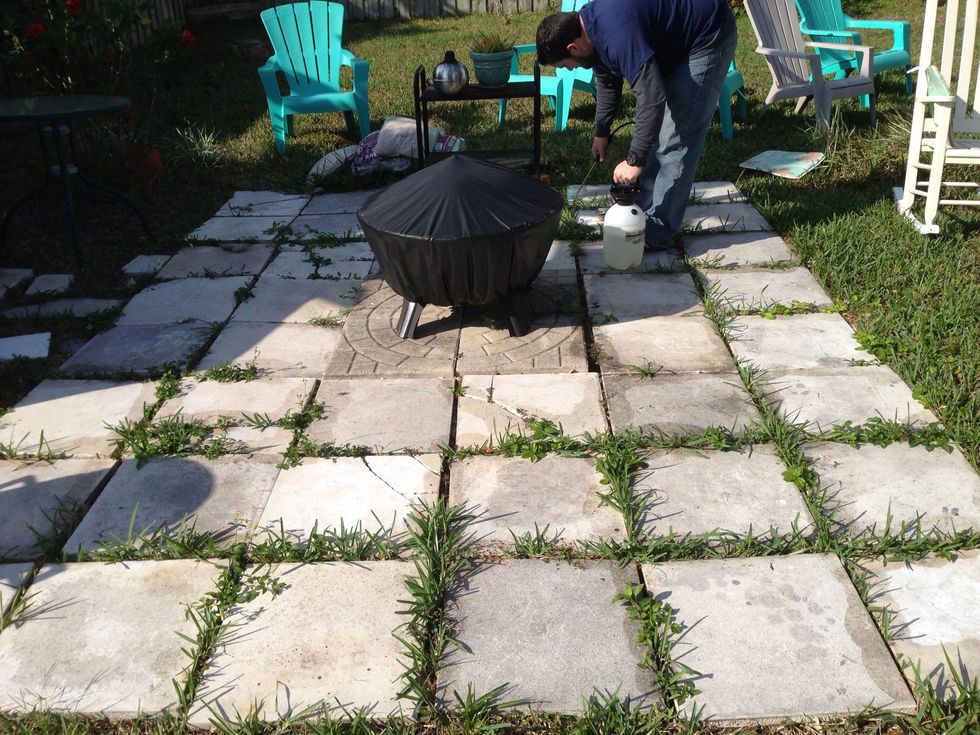 After a few weeks of the tiles being payed grass started growing and looked awful. We used a concentrated grass killer from a lawn store and sprayed all the cracks.