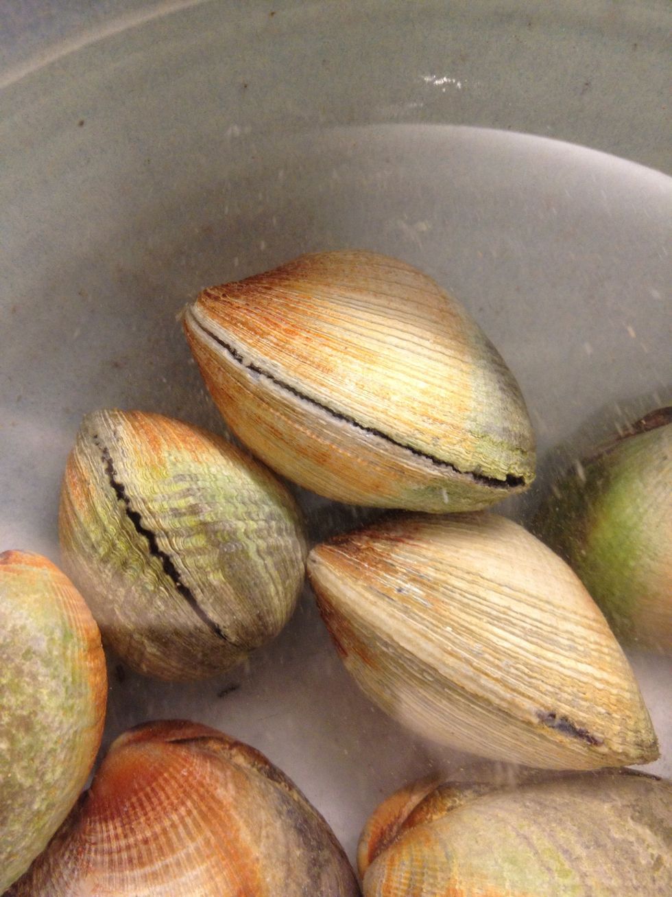 After a good amount of time, (maybe thirty minutes) they will start to sneak peek