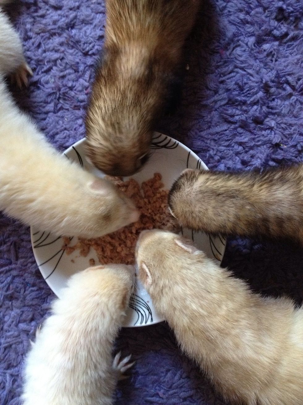 After a plate full of feedin'.......