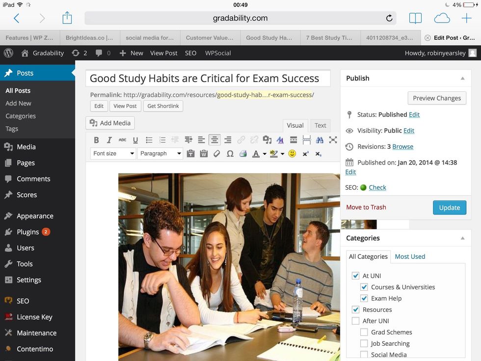 After about 2-3 hours you'll receive a preview email - click accept and your freshly written content and image will be pushed to your desired WordPress Blog automatically (in draft). Login as admin...