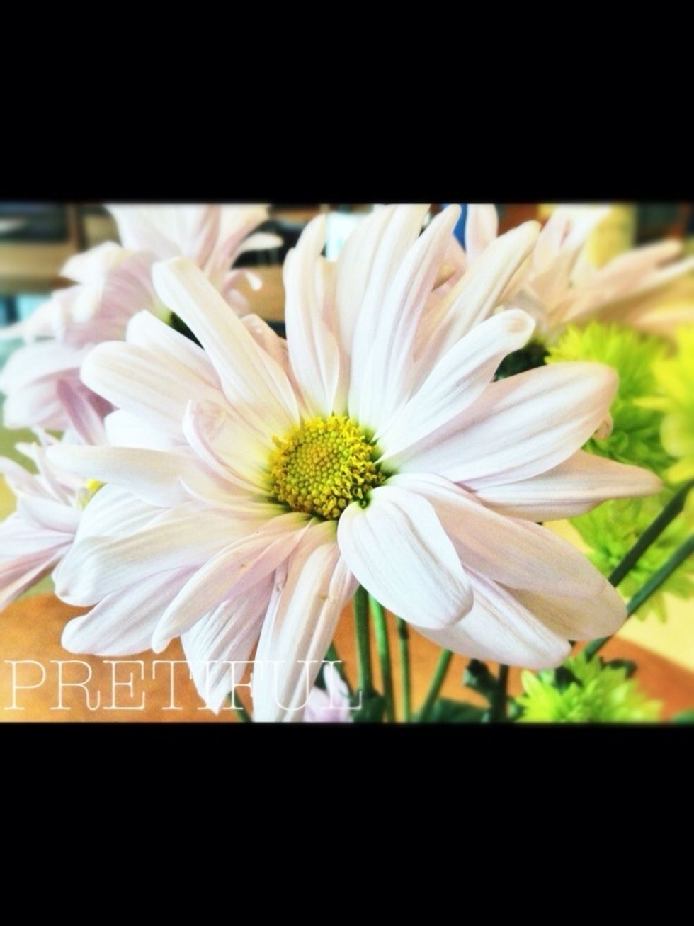 After (Added accurate depth of field with the FINGER FOCUS app by BBCDDC.