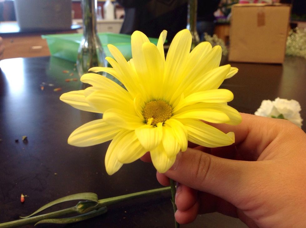 After adding the carnations, you take about 5-7 mums (smaller) to give it good visual balance. The mums must be a different color than the carnations and take off any extra shoots on the stems.
