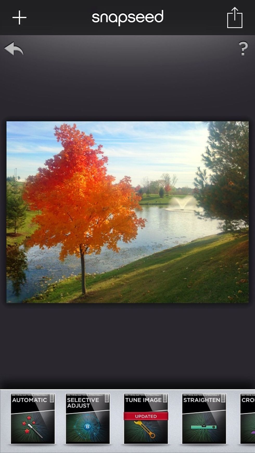 After At this point, if you are satisfied with your image, you can save it to your camera roll. However, you may want to add effects (vintage, retro, drama) to your image.