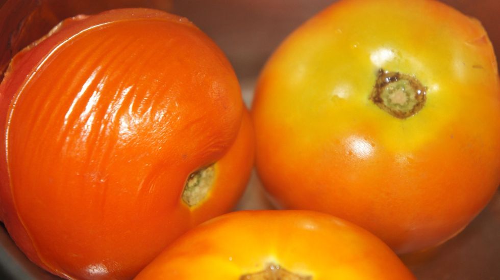 After boiling take the peel of tomatoes...