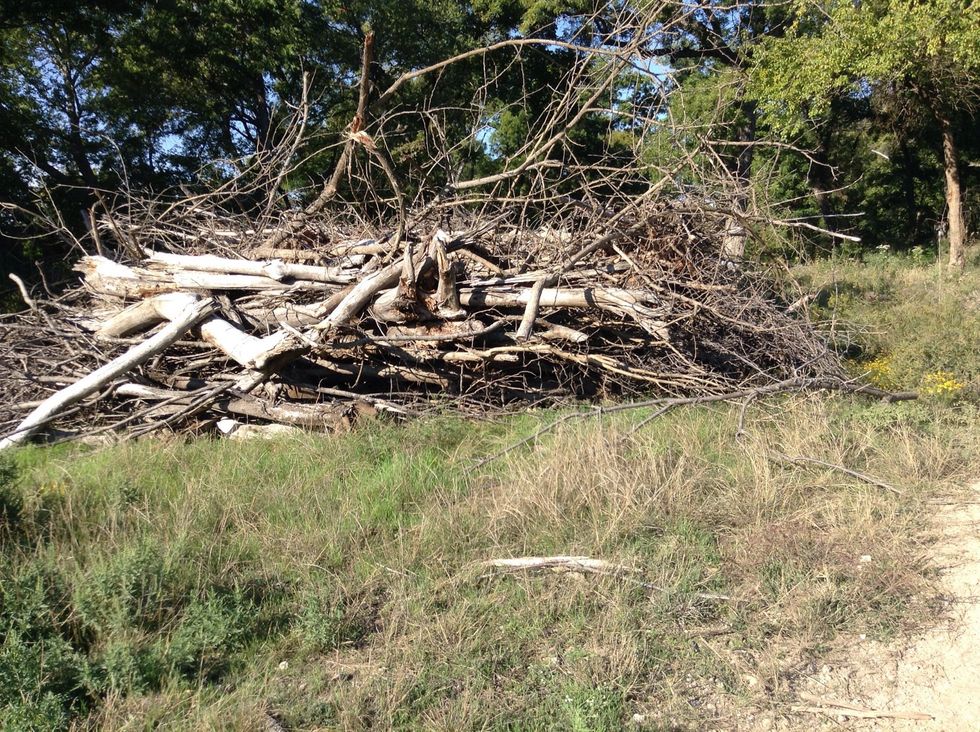 After exploring many habitats and other things, we do stations going over what we saw. They ask things like, what do you think could live in the log?