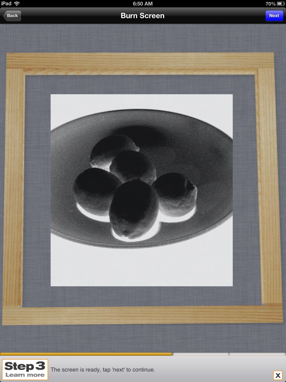 After exposing your image you'll get a negative similar to above image. Your negative will print as a positive image. Tap the 'next' button.