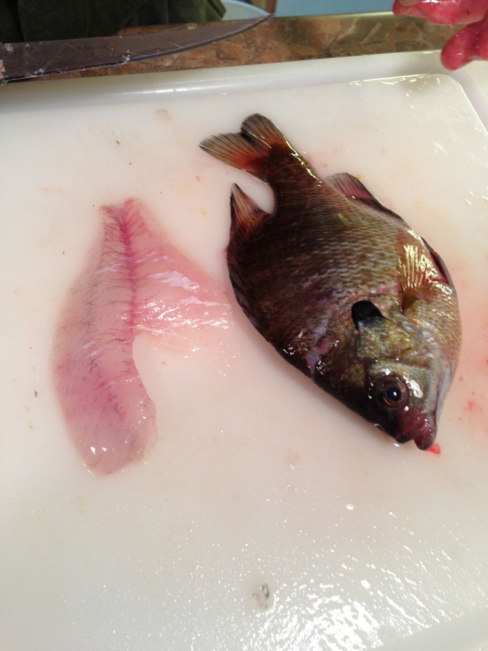 After filleting, place in cold water, then rinse thoroughly under cold water. This will remove blood and whiten them up.
